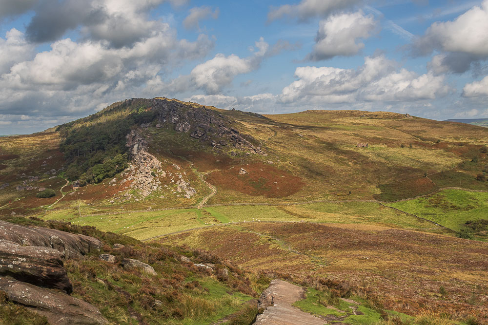 The Roaches The Roaches